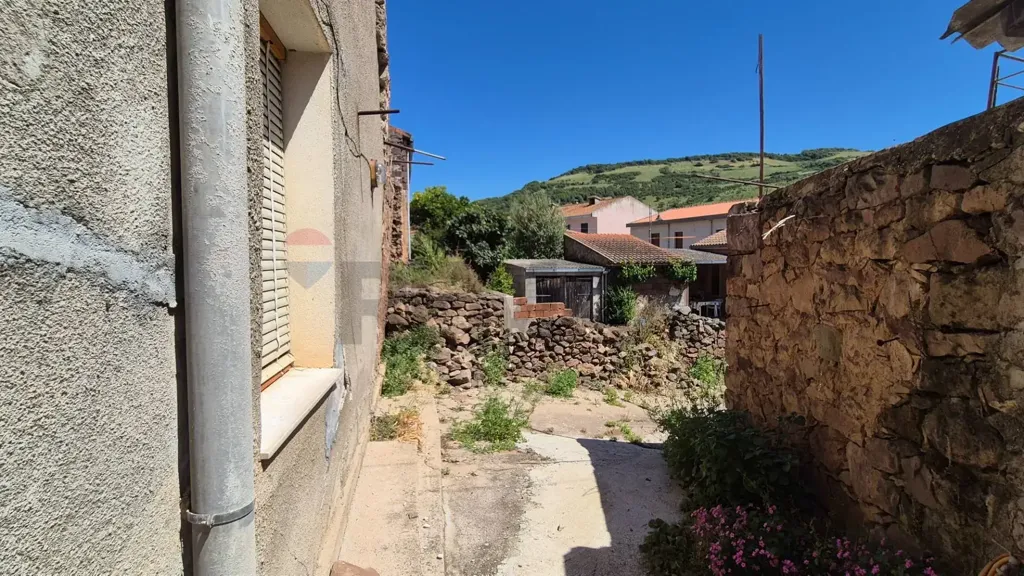 Aed - Rustic House with Olive Grove in Allai