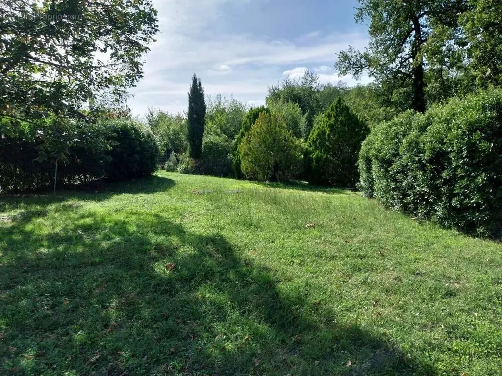 Jardin - Maison de Vigneron avec Piscine et Vue Panoramique à Lisle-sur-Tarn