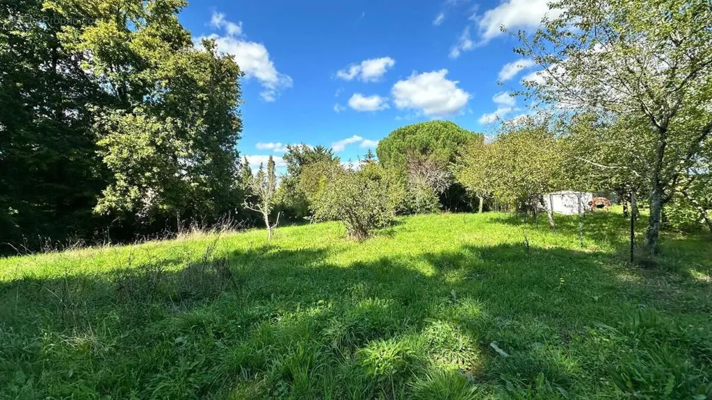 Jardin - Terrain Arboré au Calme à Chaniers