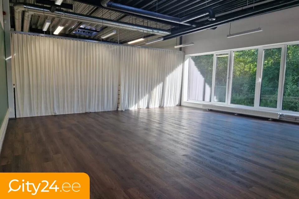 Toad - Corner Office Space with Large Windows in Priisle Business Park