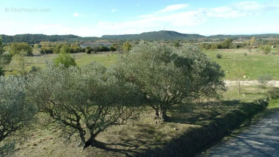 Maa asukohas Lecques