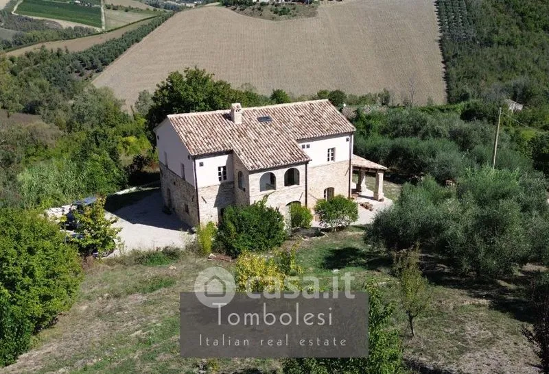 Vue aérienne - Restored Rustico with Vineyard in Cossignano