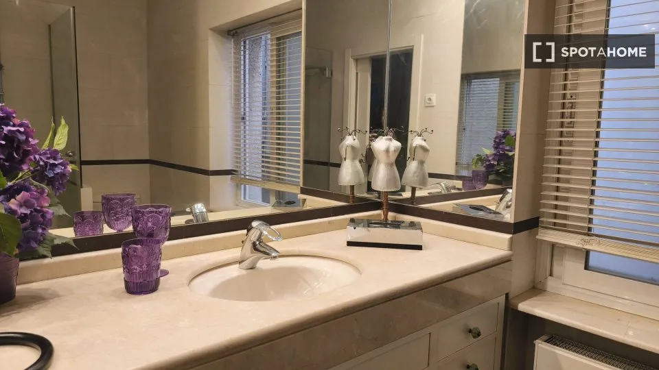 Vannitoad - Furnished Flat in El Viso, Madrid