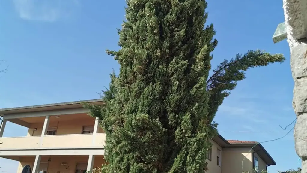 Exterior - Villa with Pool in Borgo San Lorenzo