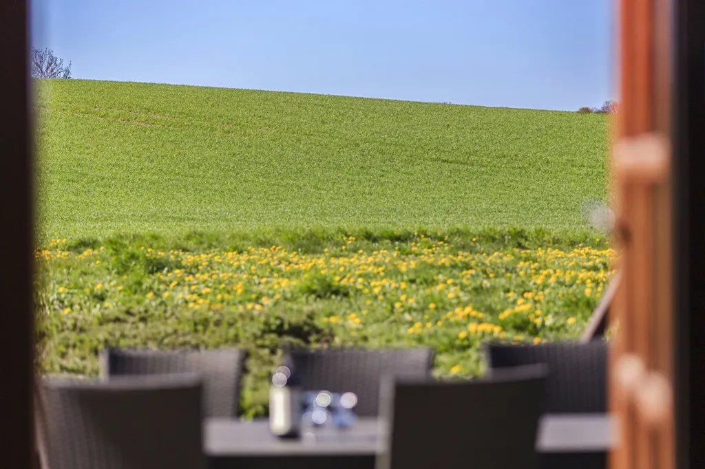 Terrazza - Farmhouse with Private Lake in Juelsminde