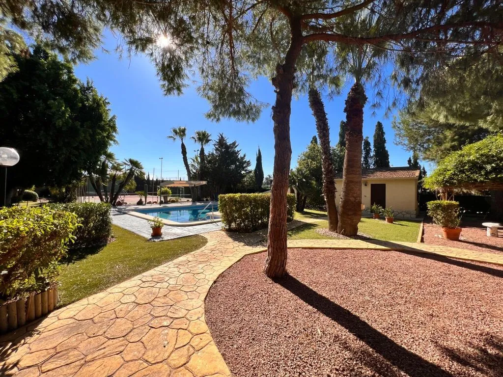 Aed - Detached House with Pool in Elche