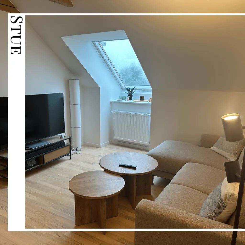Living Room - Charming Flat with Church View in Ringsted