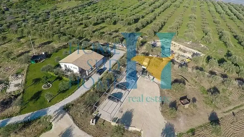 Aerial - Villa with Olive Grove in Noto