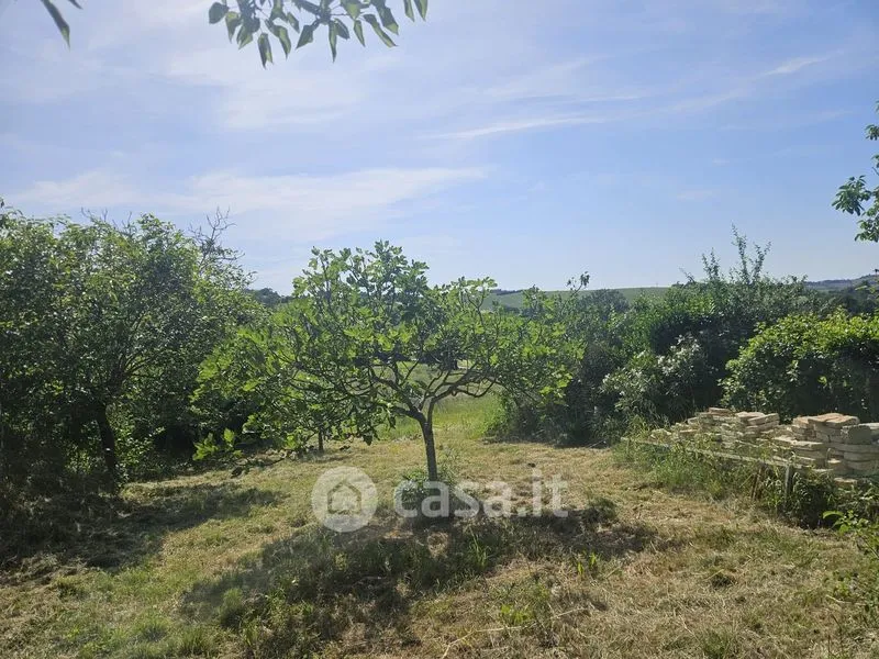 Aed - Rustic Casale with Olive Grove in Polverigi