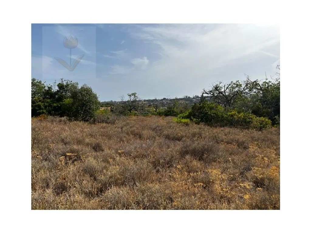 land_plot