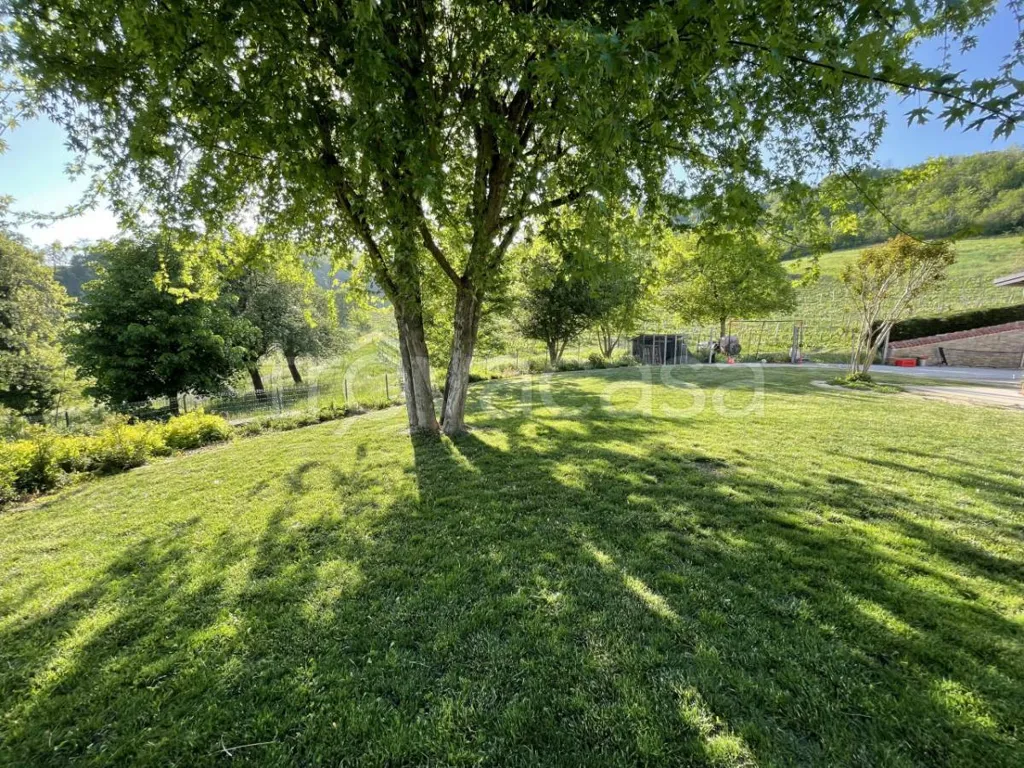 Aed - Rustic House with Lake View in Briaglia
