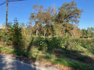 Giardino - Building Land with Proximity to Schools in Saucats