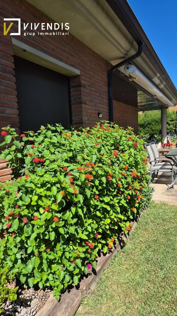 Terrasse - Detached House with Pool in Alpicat