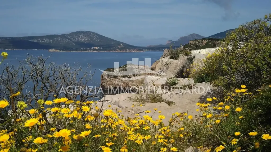 Jardin - Villa with Seafront Potential in Alghero