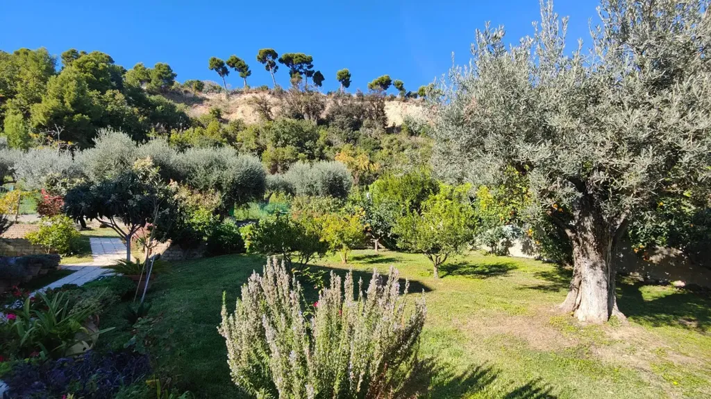 garden