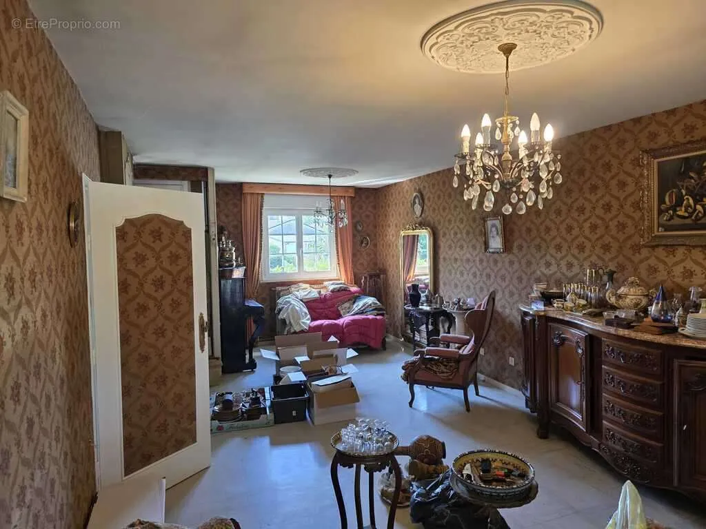 Séjour - Maison T4 à Rénover avec Jardin à Le Passage