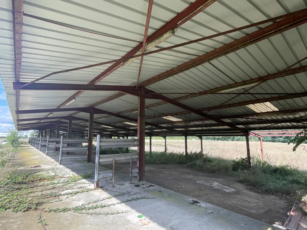 Toad - Metal Hangar with 3.7-acre Plot in Saint-Just