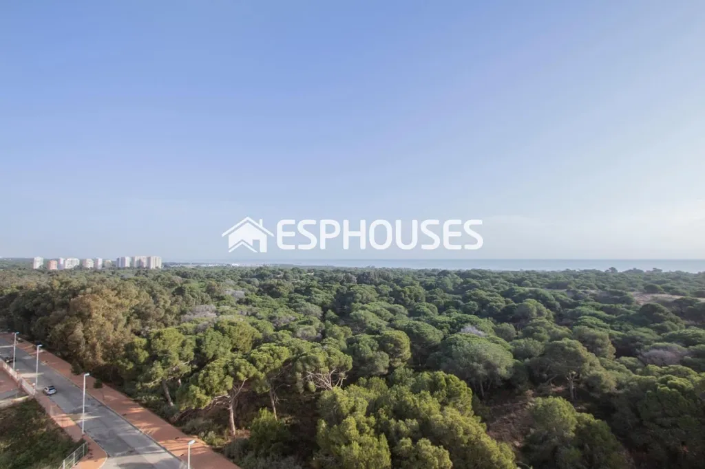Penthouse with Sea View in Guardamar Playa