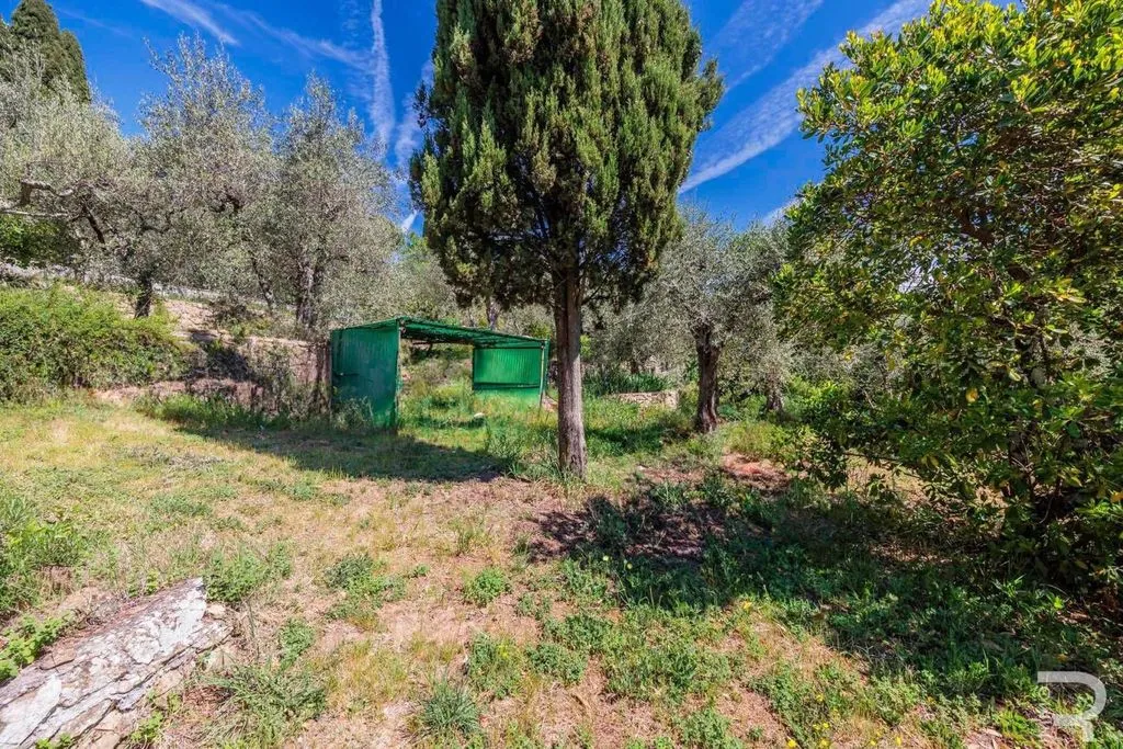 Aed - Luxury Villa with Olive Garden in Sinalunga