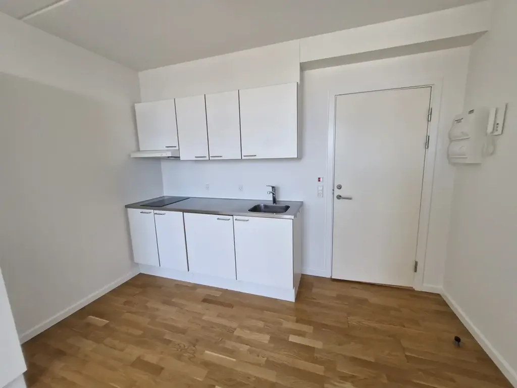 Cuisine - 1-Bedroom Flat near Haderslev Stadium