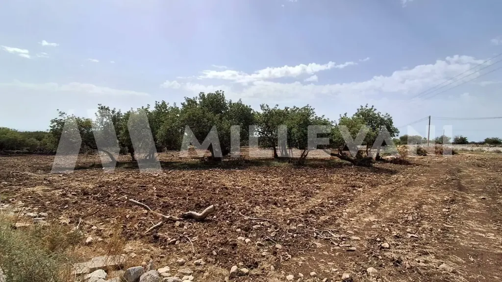 Aed - Rustic Property with Olive Trees in Modica