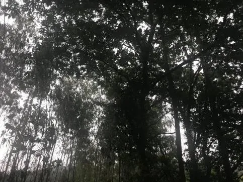 Plot with Views in Zas, A Coruña