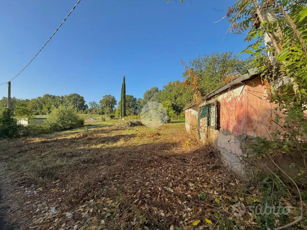 Rustico with Demolition Potential in Nepi