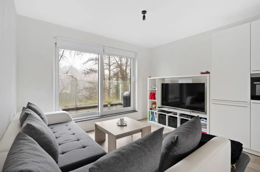 Séjour - Appartement lumineux avec terrasse à Willebroek