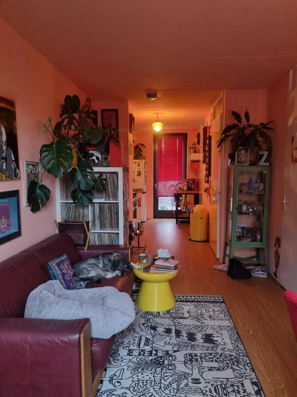 Appartement 5 pièces à Zwolle