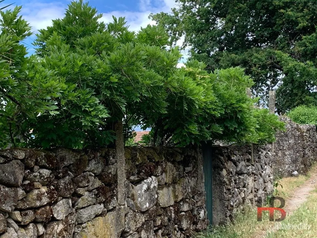 Jardin - Rustic Farmhouse with Pool in Oliveira de Frades