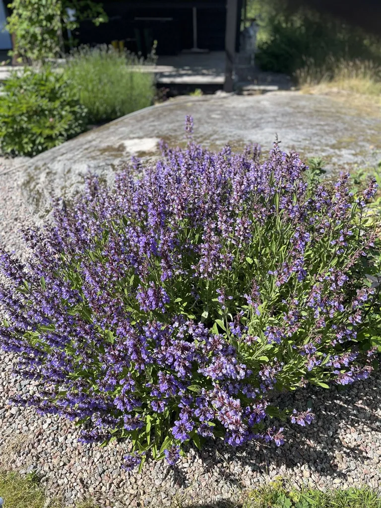 Maison 4 pièces à Norrtälje kommun