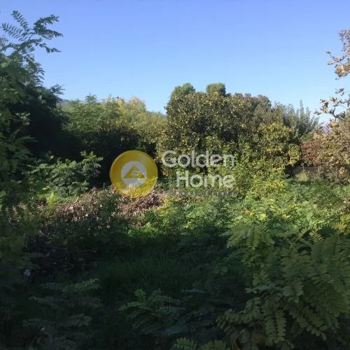 Jardin - Plot with Sea View in Erineo, Lampraki