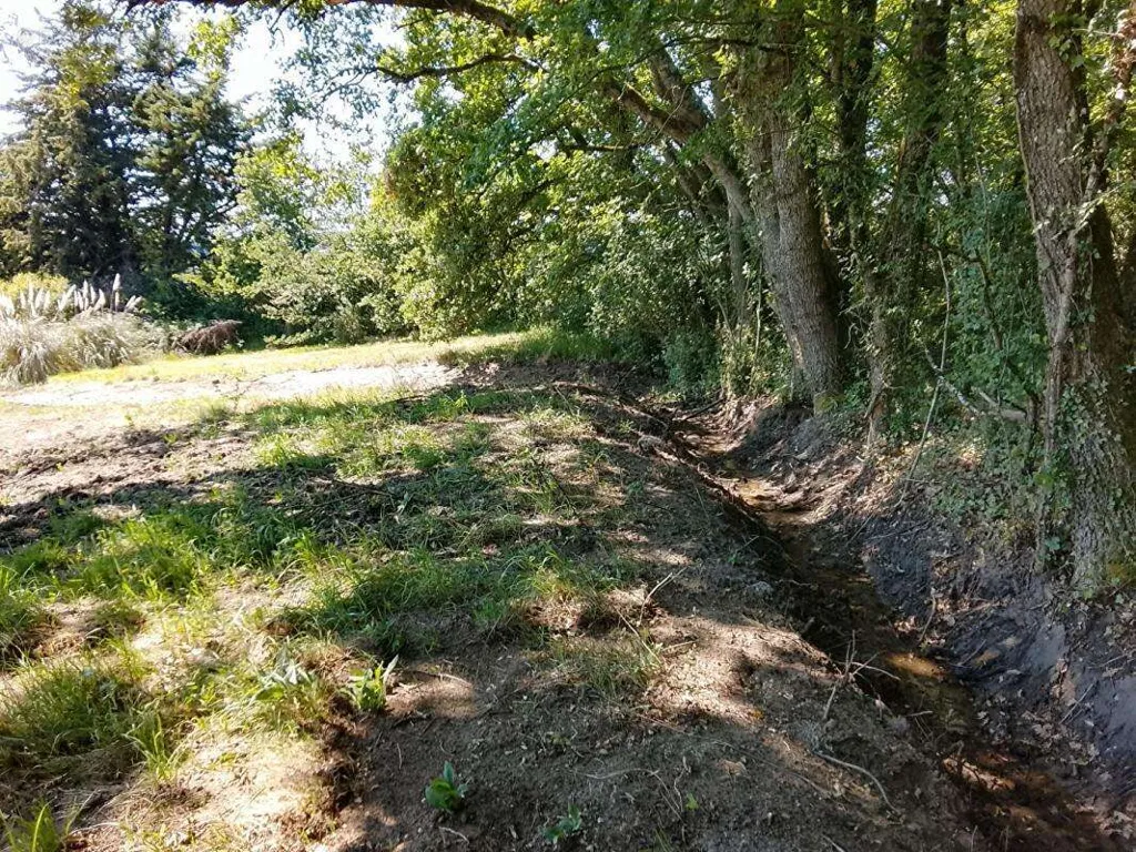 Terrain à Lureuil