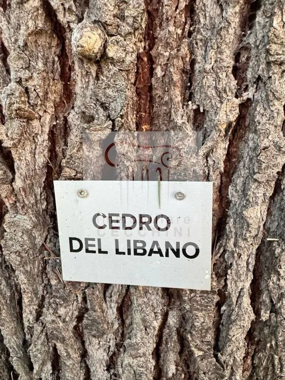 Jardin - Maison 5 pièces à Cesena