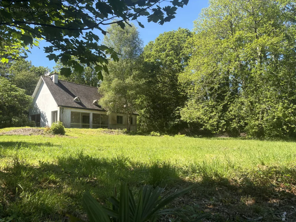 Jardin - Maison à Rénover au Calme à Plomelin