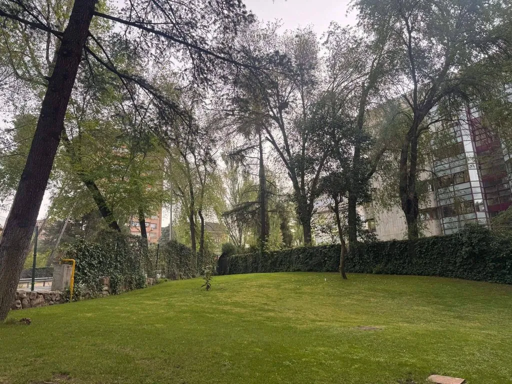 Garden - Luxury Flat with Pool on Arroyofresno Street, Madrid