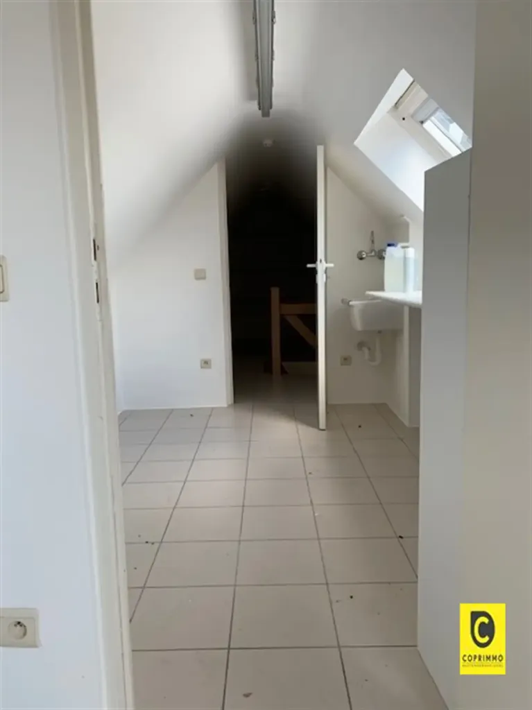 Toad - Apartment with Sunny Terrace in Aartselaar