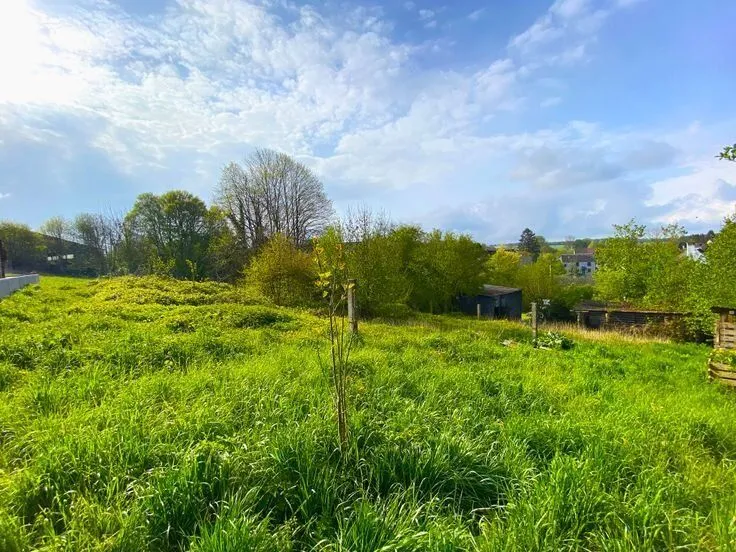 Giardino - House in Quiet Setting, Yvoir