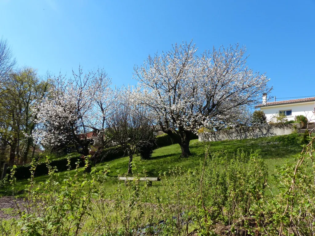 Jardin - Maison au Calme avec Vue à Eyzin-Pinet