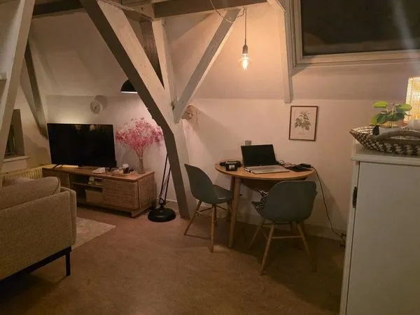 Living Room - Apartment with City Centre Access in Utrecht