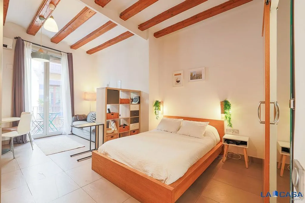 Magamistoad - Reformed Flat with Balcony in El Raval