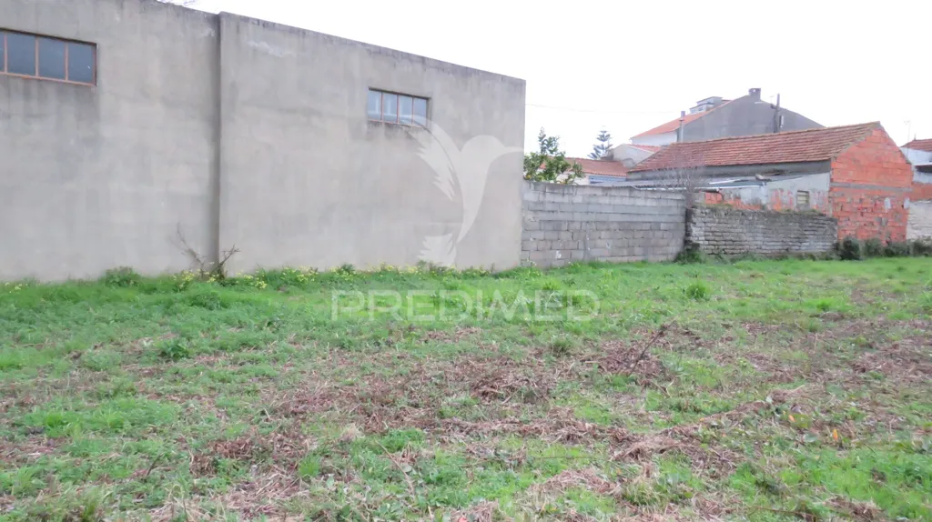 Jardin - Development Plot for 6 Units in Vagos, Aveiro