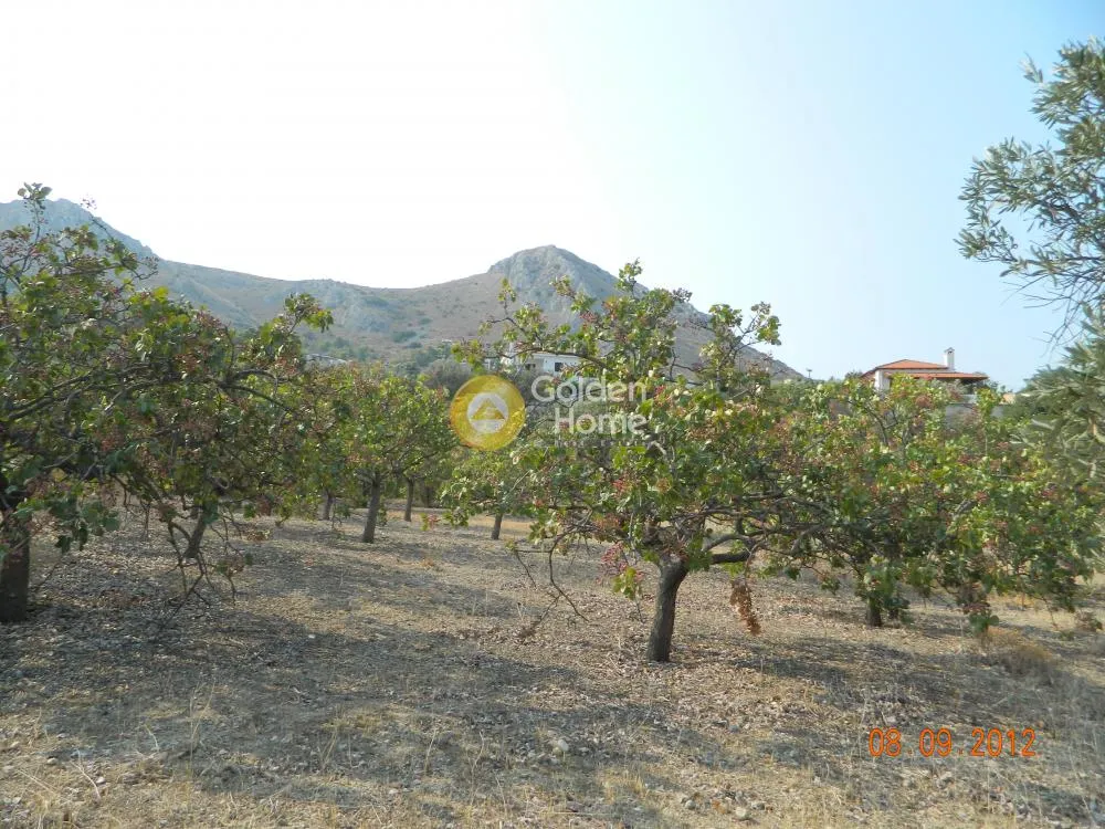 Giardino - Plot with Sea View in Agia Marina, Agia Napa