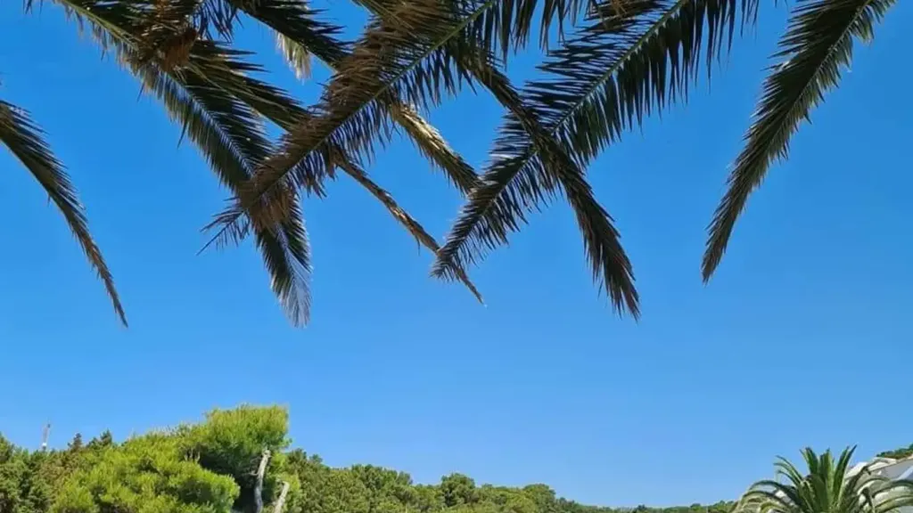 Seafront Studio with Pool in Quercianella