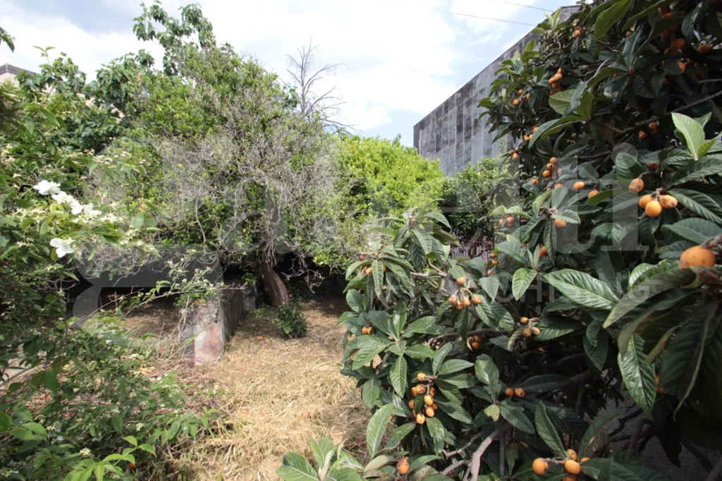 Aed - Villa to Renovate with Garden in Mascalucia