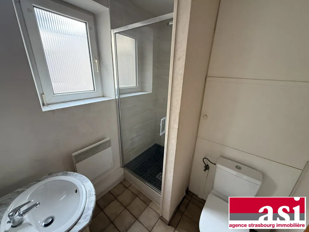 Vannitoad - Studio with City Centre Location in Haguenau