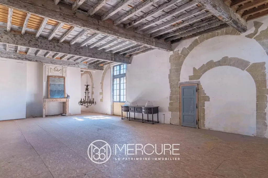 Stanze - Restored Medieval Château with Pyrenees View