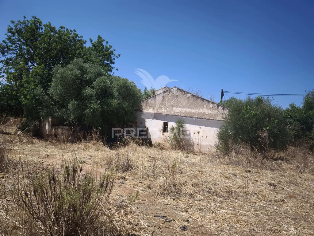 Extérieur - Traditional Farmhouse with Stables in Paderne