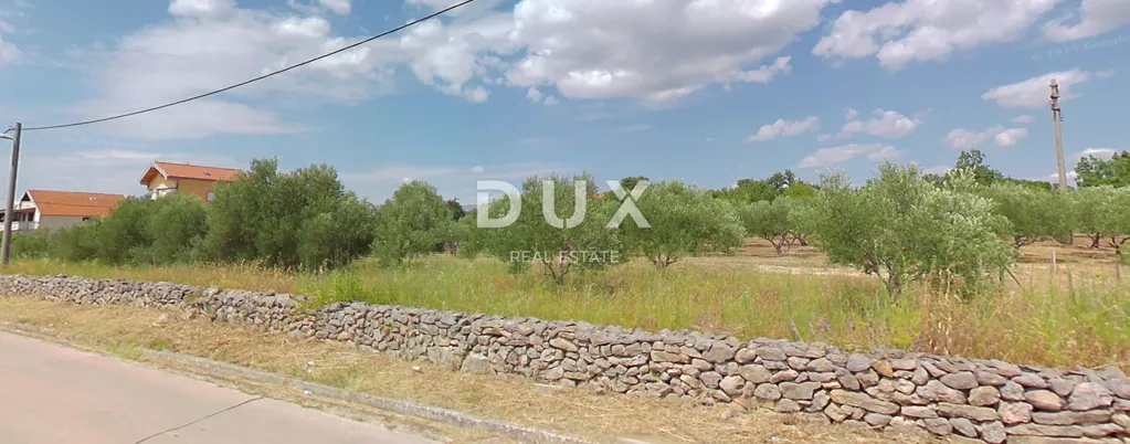 Jardin - Olive Grove with Construction Land in Zadar