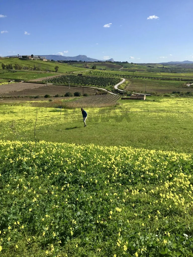 Garden - Buildable Land with Sea View near Menfi